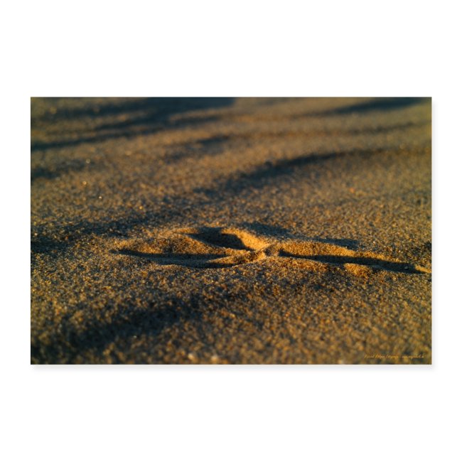 Spuren im Sand Natur Strand Beach Poster Wandbild