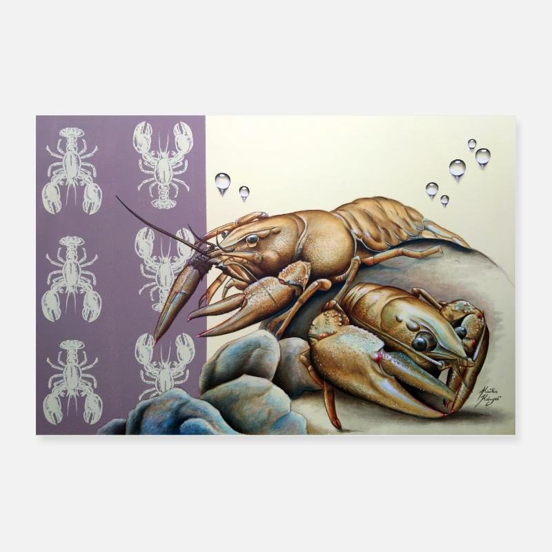 Edelkrebs Poster 60x40 cm