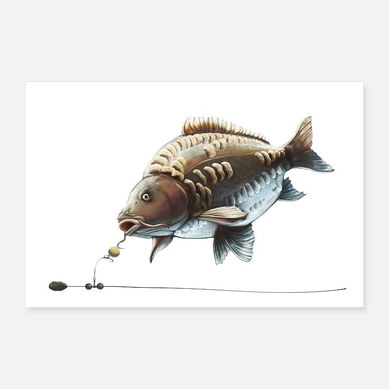 Conception de la pêche à la carpe Chod Rig pour les pêcheurs Poster 60 x 40 cm