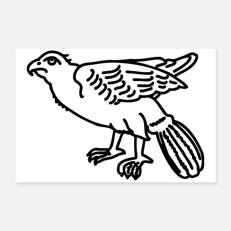 aigle Poster 60 x 40 cm