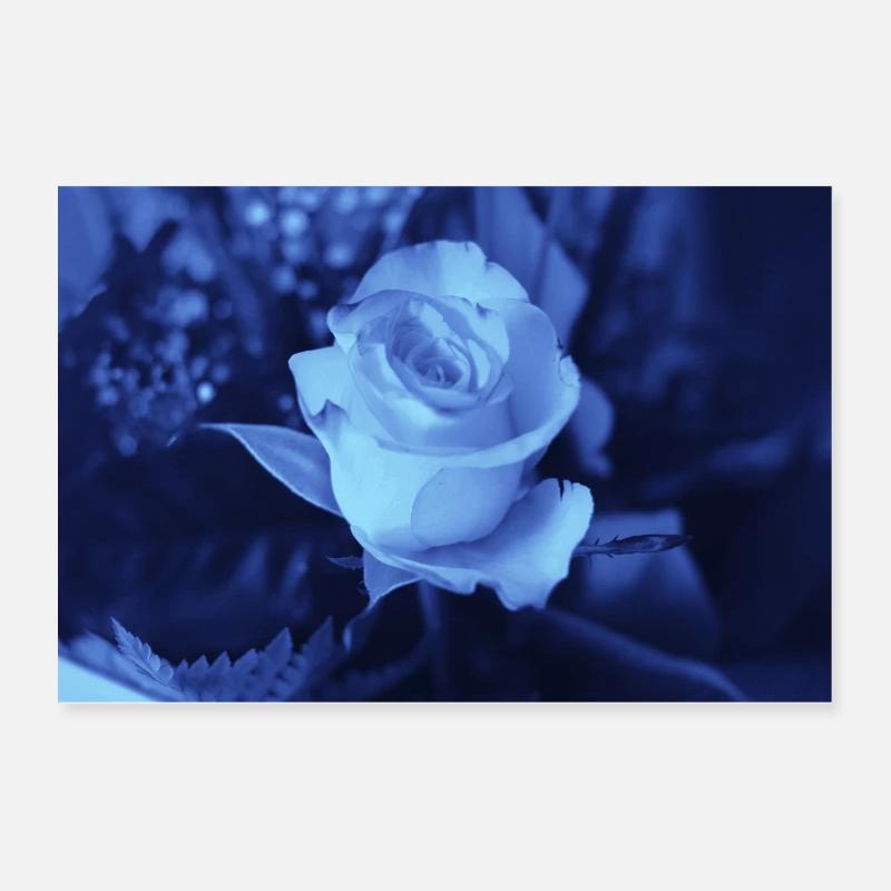 Rose blue Poster 24" x 16" (60x40 cm)