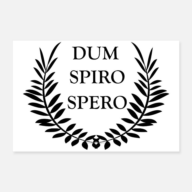 Dum Spiro Spero Poster 24" x 16" (60x40 cm)