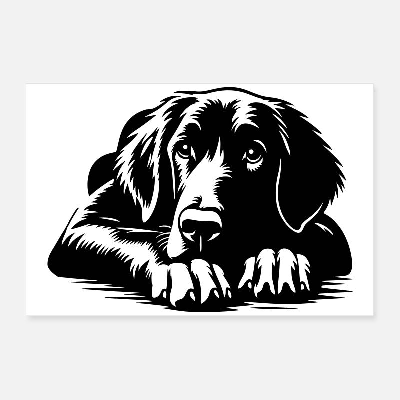 Flat-coated Retriever Poster 60x40 cm