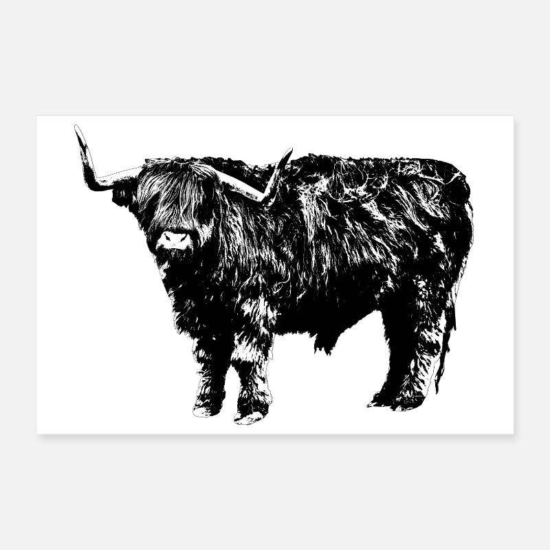 Bovins Highland Poster 60 x 40 cm