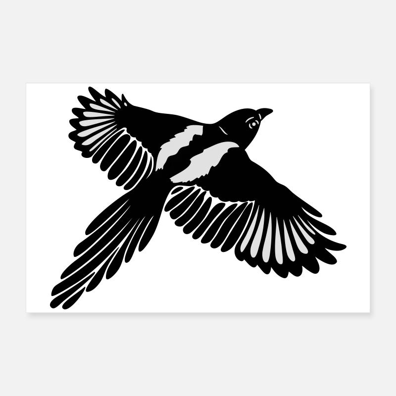 Große Elster, magpie Poster 60 x 40 cm