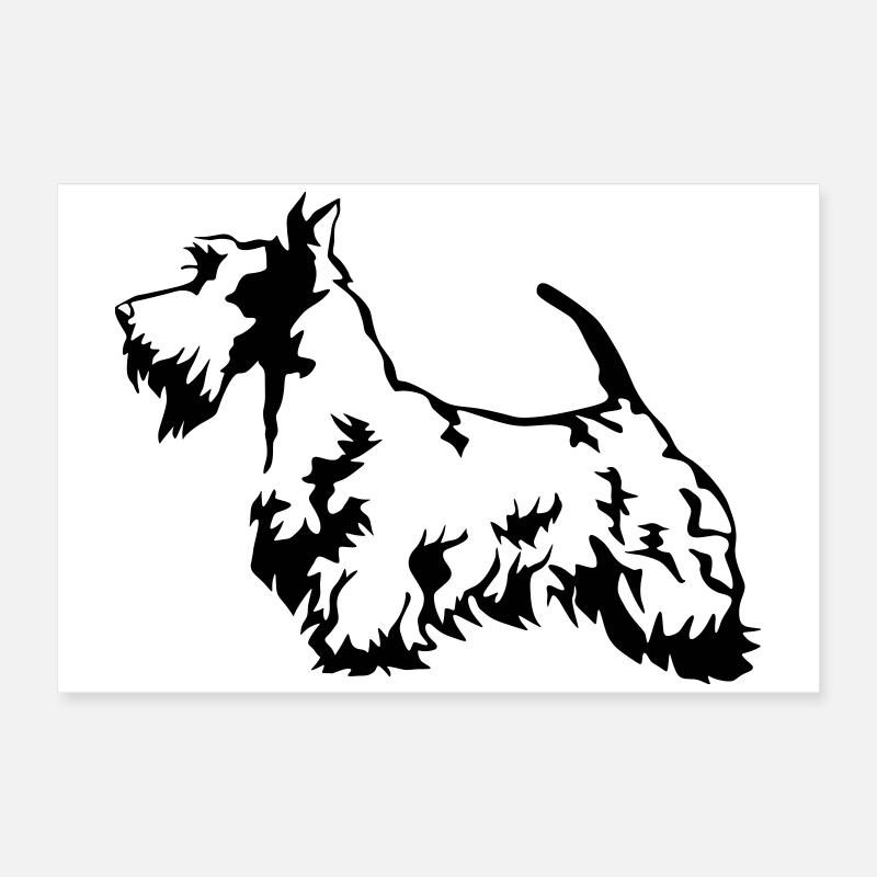 Scottish Terrier Poster 60x40 cm