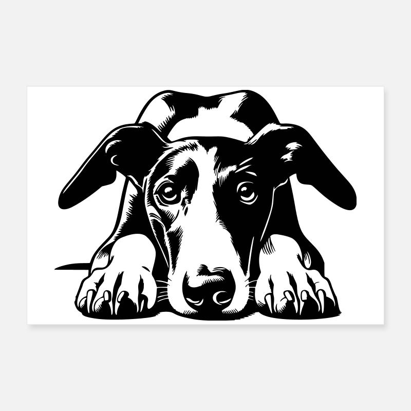 Tête de Galgo avec pattes Poster 60 x 40 cm