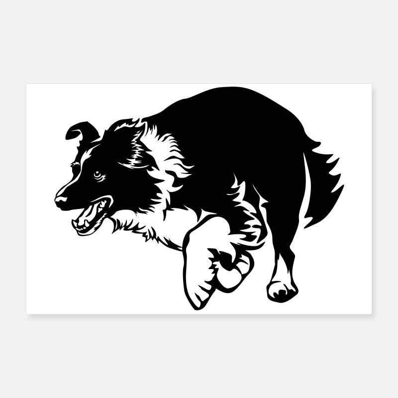 Border Collie Poster 60x40 cm