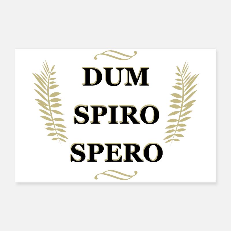 Dum Spiro Spero, citation latine Poster 60 x 40 cm