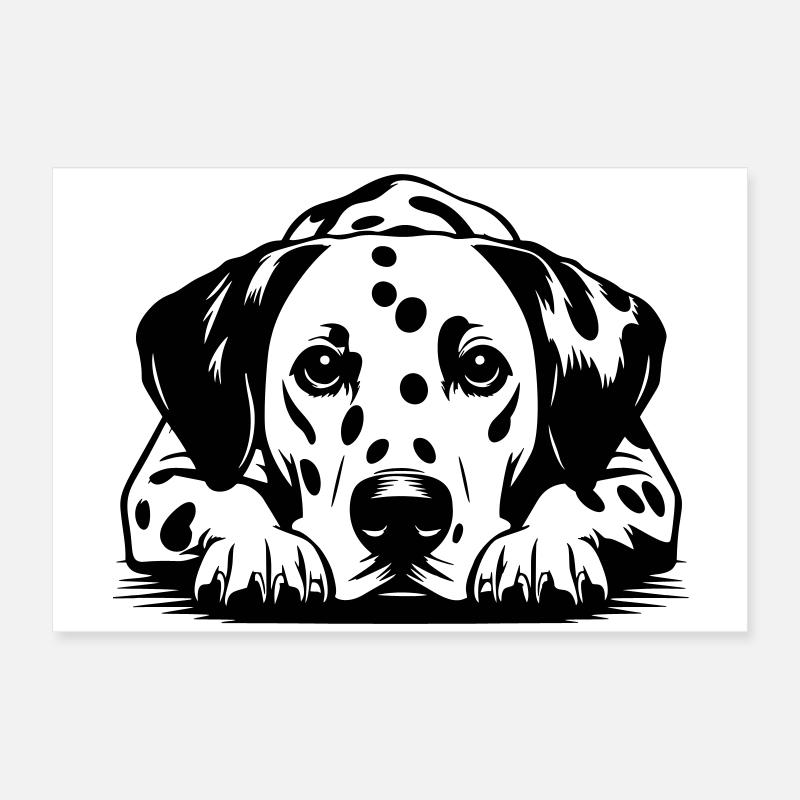 Dalmatiner Poster 60x40 cm