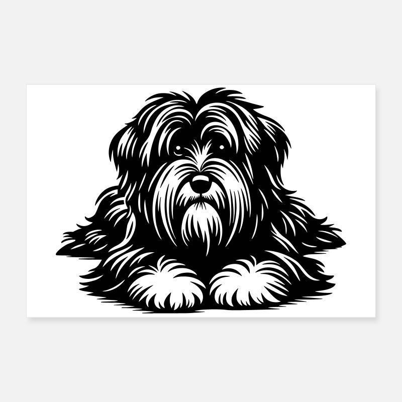 Terrier tibétain Poster 60 x 40 cm
