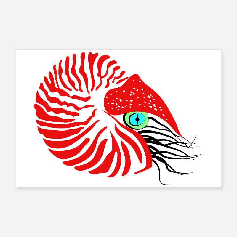 Bateau perlier, ammonite, céphalopode, nautile Poster 60 x 40 cm