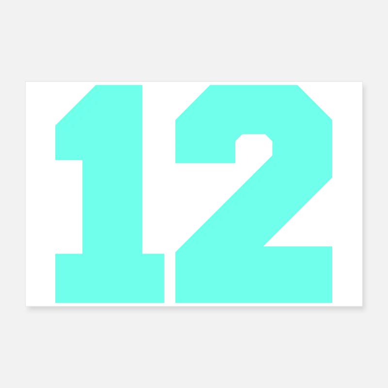 12 Poster 60 x 40 cm