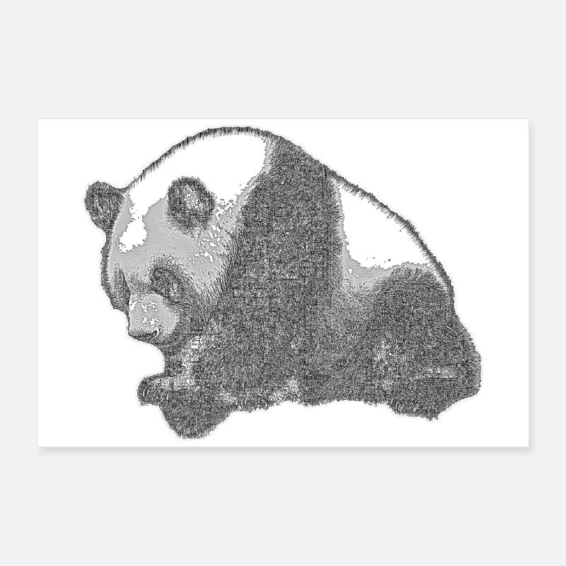 Panda groß Poster 60x40 cm