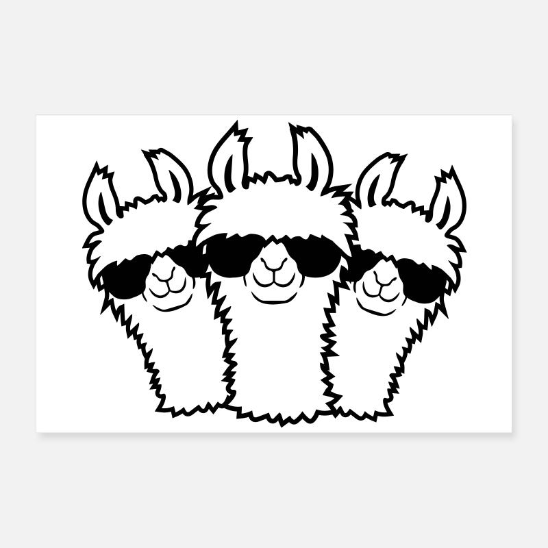 Équipe 3 lama Poster 60 x 40 cm