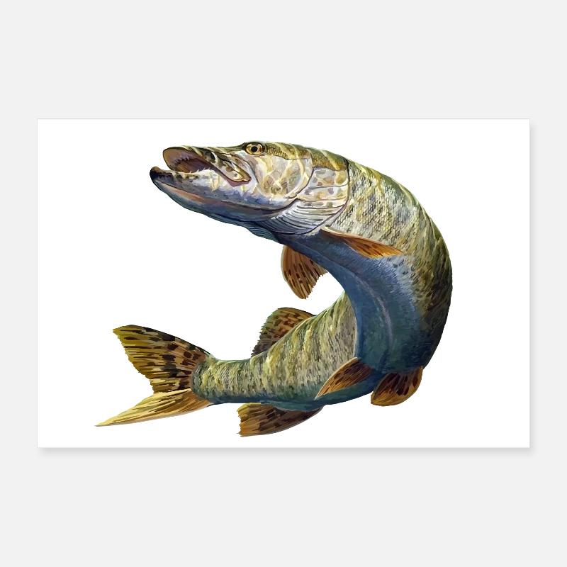 Brochet Poster 60 x 40 cm