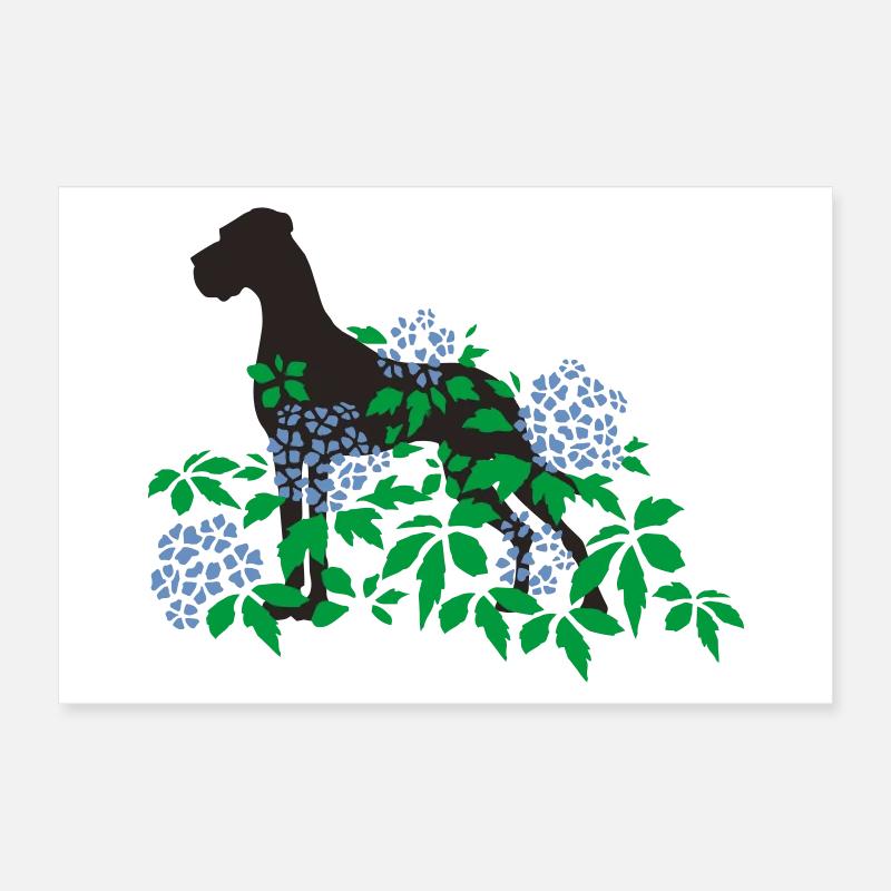 Great Dane and hydrangeas Poster 24" x 16" (60x40 cm)
