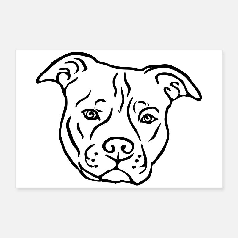 Tête de Satffordshire terrier américain Poster 60 x 40 cm