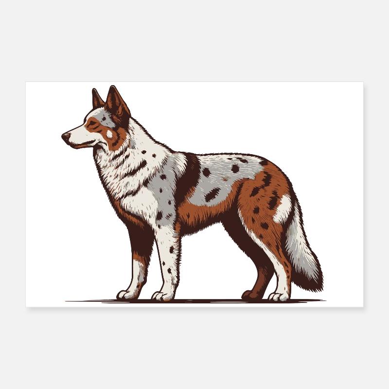 Australian Koolie Poster 24" x 16" (60x40 cm)