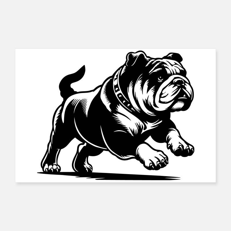 Englische Bulldogge Poster 60x40 cm