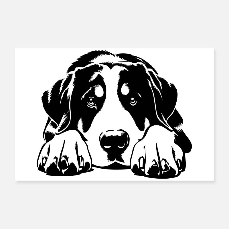 Großer Schweizer Sennenhund Poster 60x40 cm