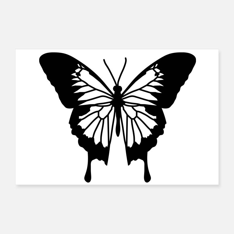 Schmetterling Poster 60x40 cm
