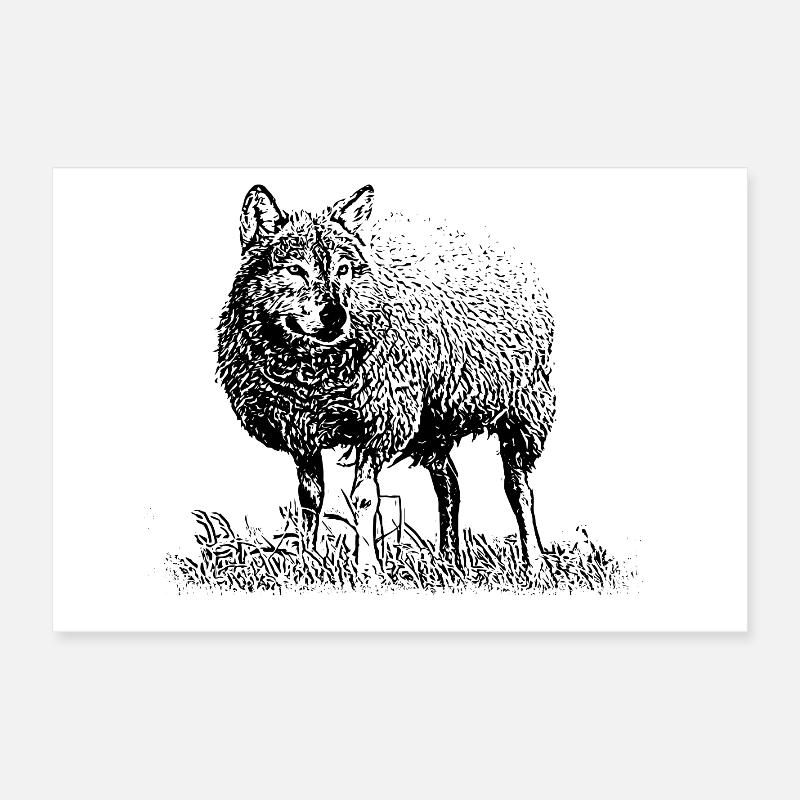 Loup déguisé en mouton Poster 60 x 40 cm