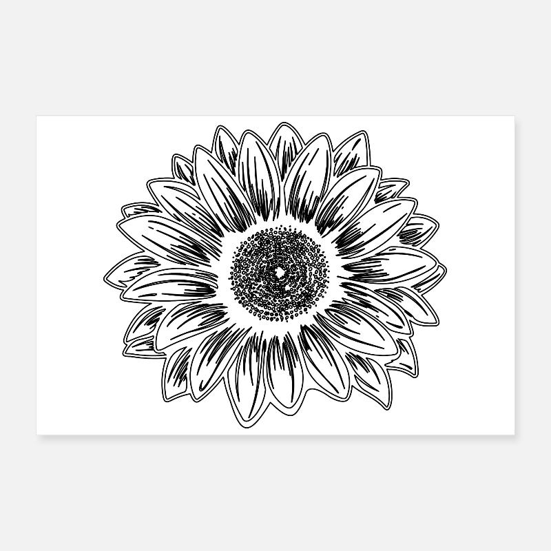 Conception de tournesol Poster 60 x 40 cm