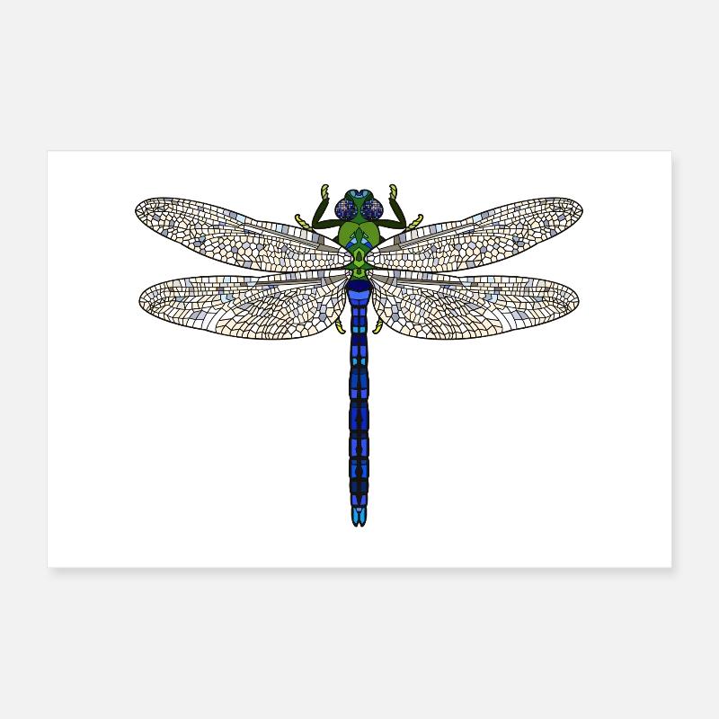 Libellule royale Poster 60 x 40 cm