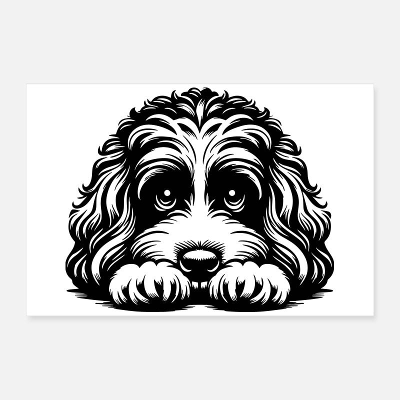 Cavapoo Kopf mit Pfoten Poster 60x40 cm