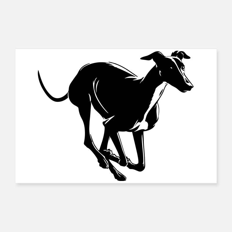 Greyhound Poster 60x40 cm