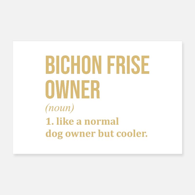 Bichon frisé Poster 60 x 40 cm