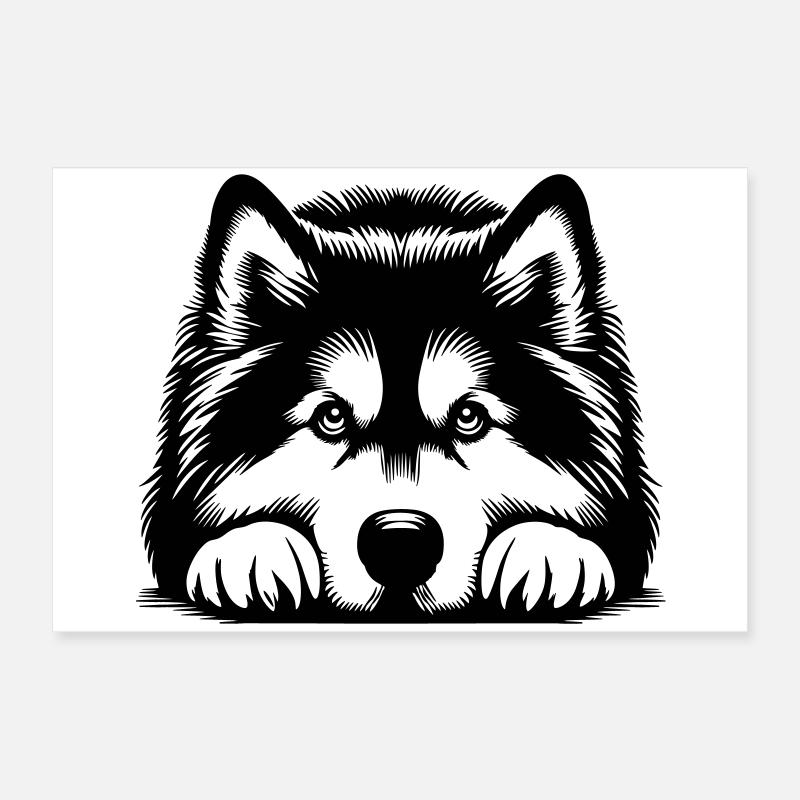 Tête de Malamute d’Alaska avec pattes Poster 60 x 40 cm