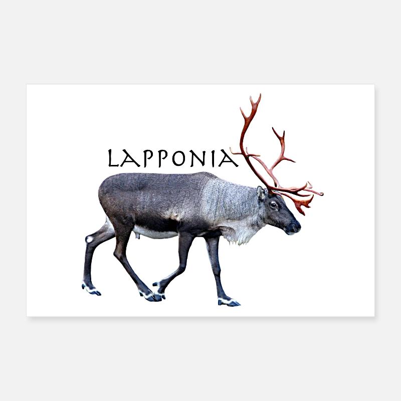 Lapponia Poster 60x40 cm