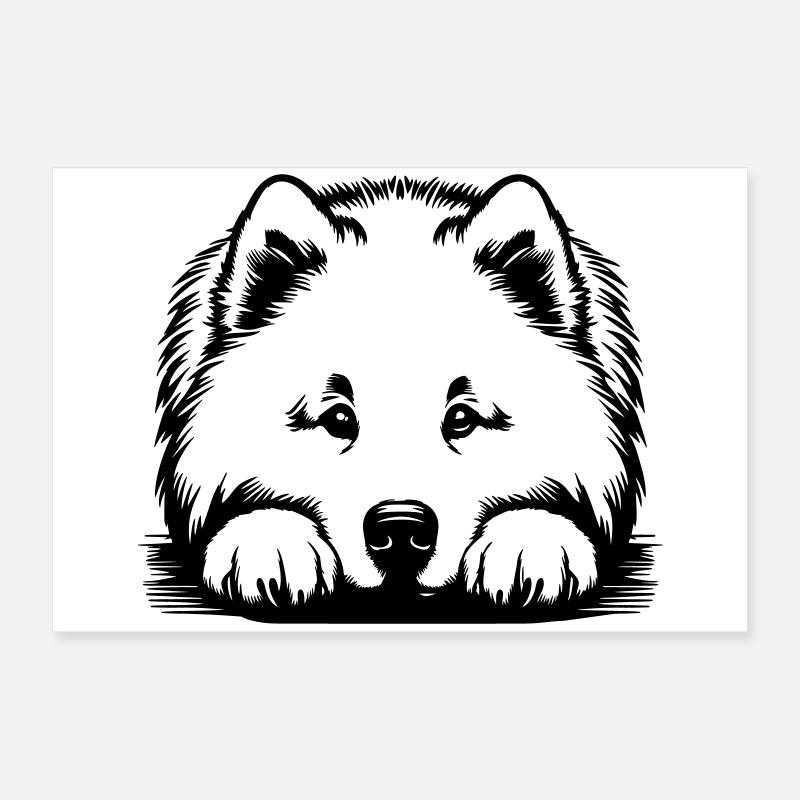 Tête de samoyède avec pattes Poster 60 x 40 cm