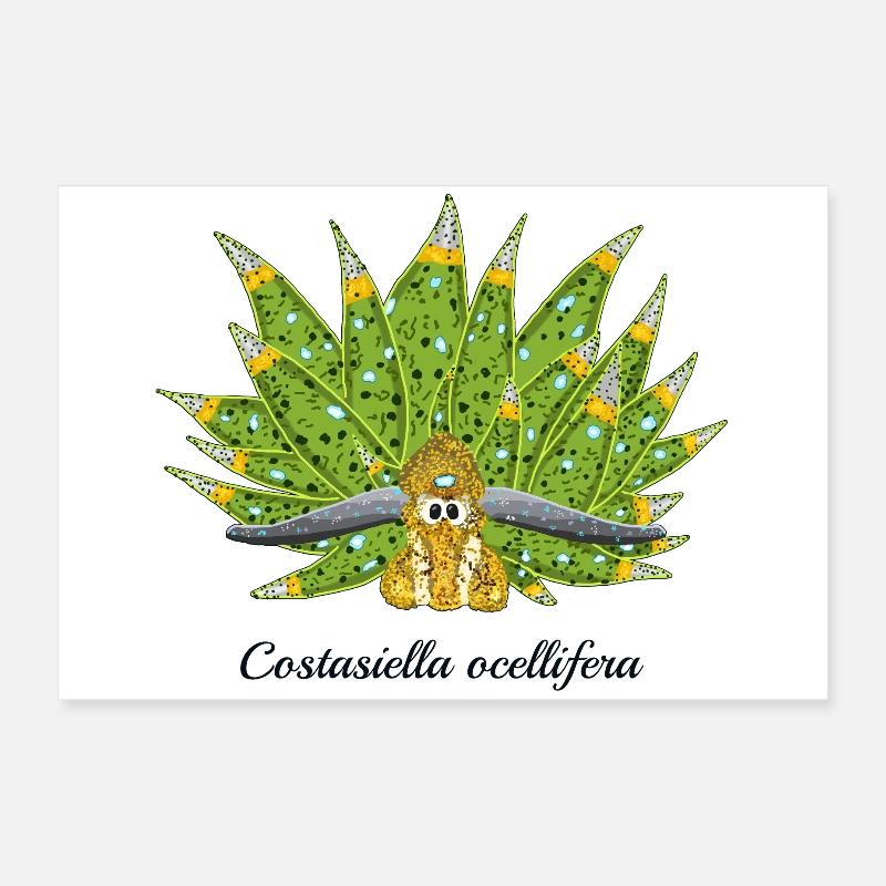 Escargot De Mer Mignon, Feuille De Mouton, Dessin Poster 60 x 40 cm