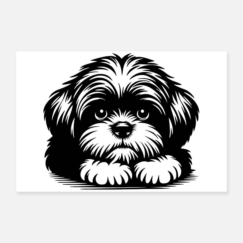 Tête de Shih Tzu avec pattes Poster 60 x 40 cm