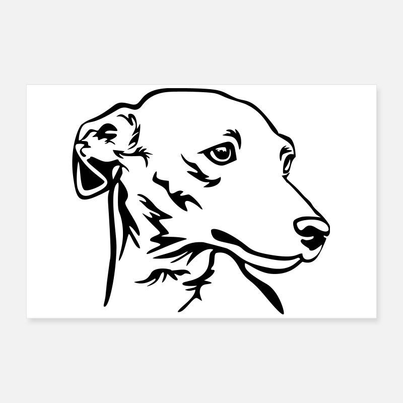 Italian greyhound head Poster 24" x 16" (60x40 cm)