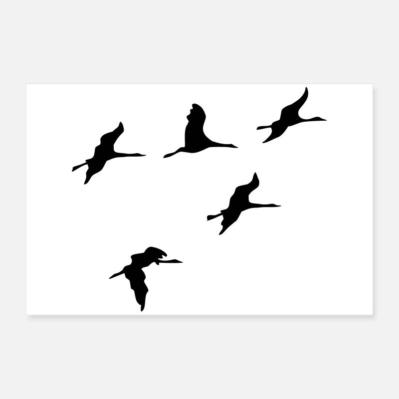 kraniche vogel reise Poster 60x40 cm
