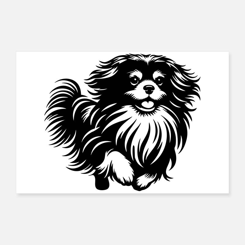 Tibet Spaniel Poster 60x40 cm