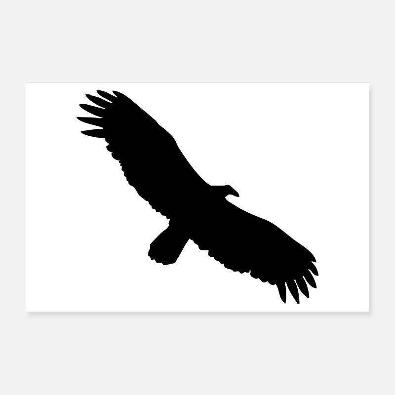 Condor Poster 60 x 40 cm
