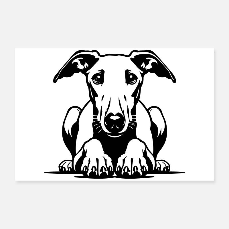 Tête de whippet avec pattes Poster 60 x 40 cm