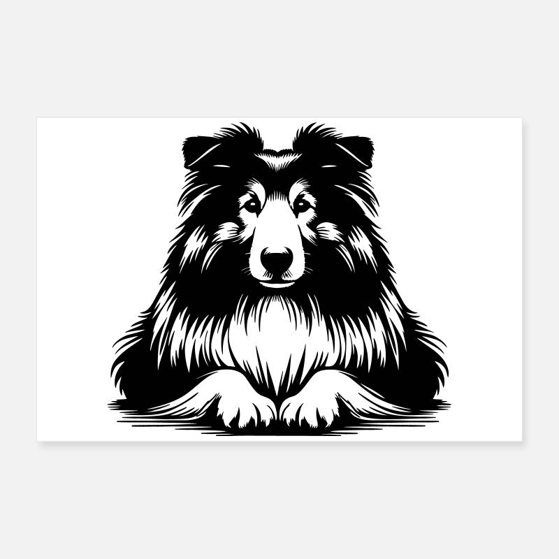 Collie Poster 60x40 cm