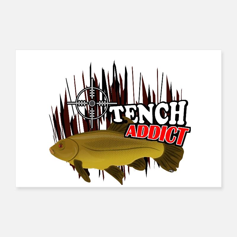 Schleie Poster 60x40 cm