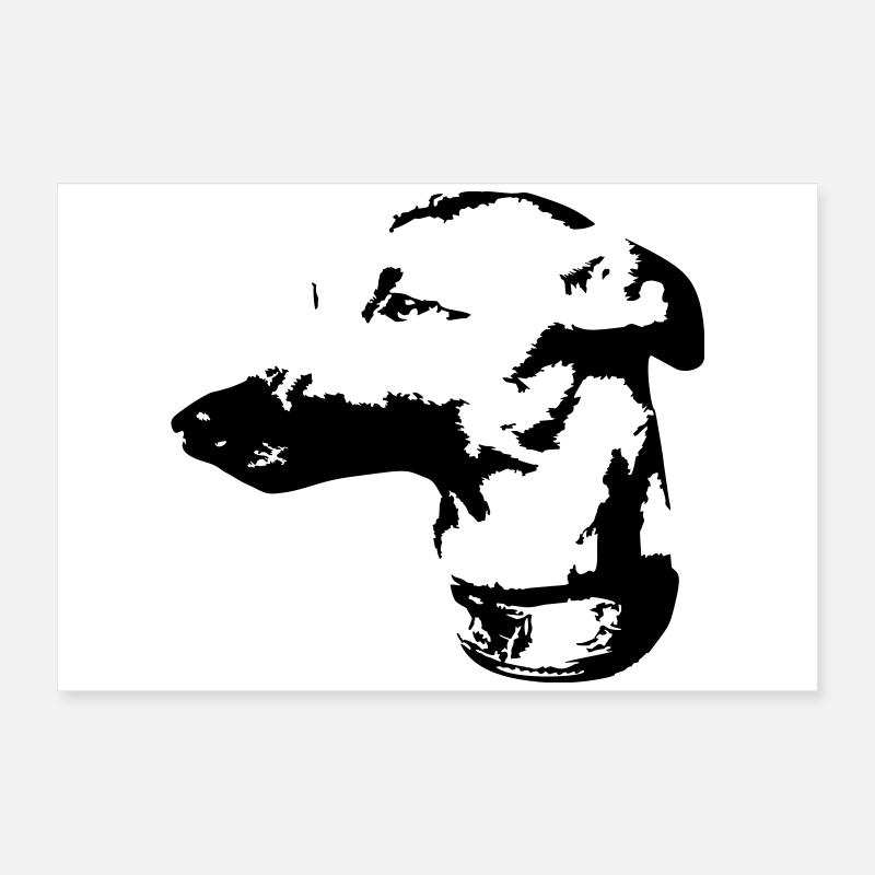Whippet Kopf Poster 60x40 cm