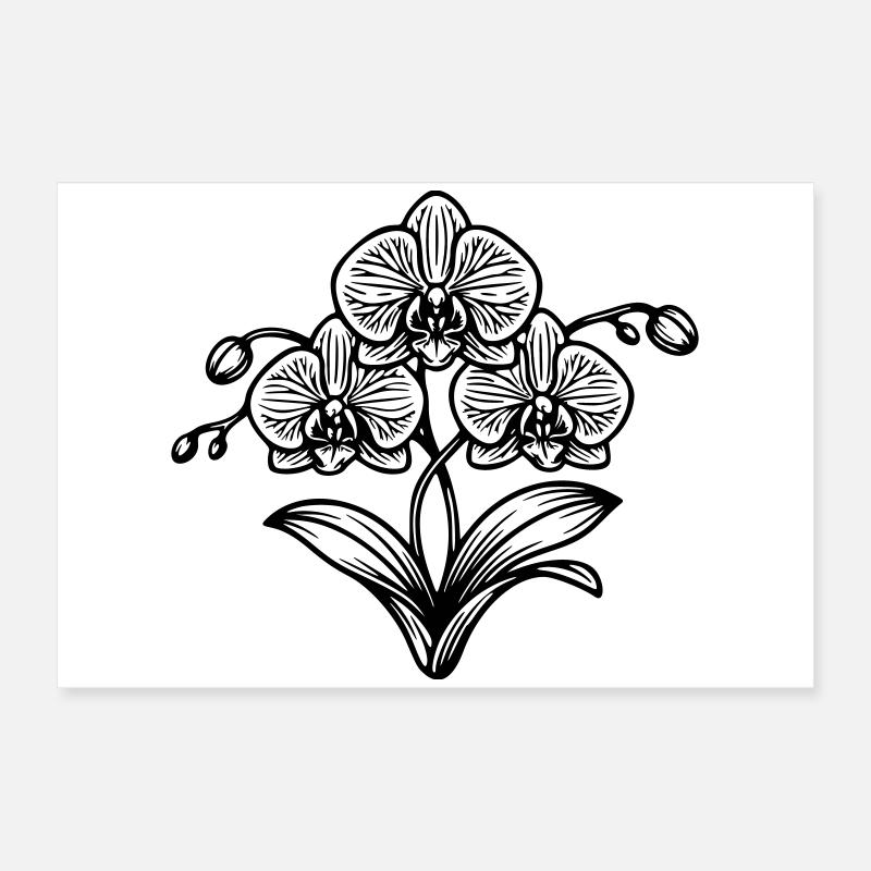 Orchidée  Poster 60 x 40 cm