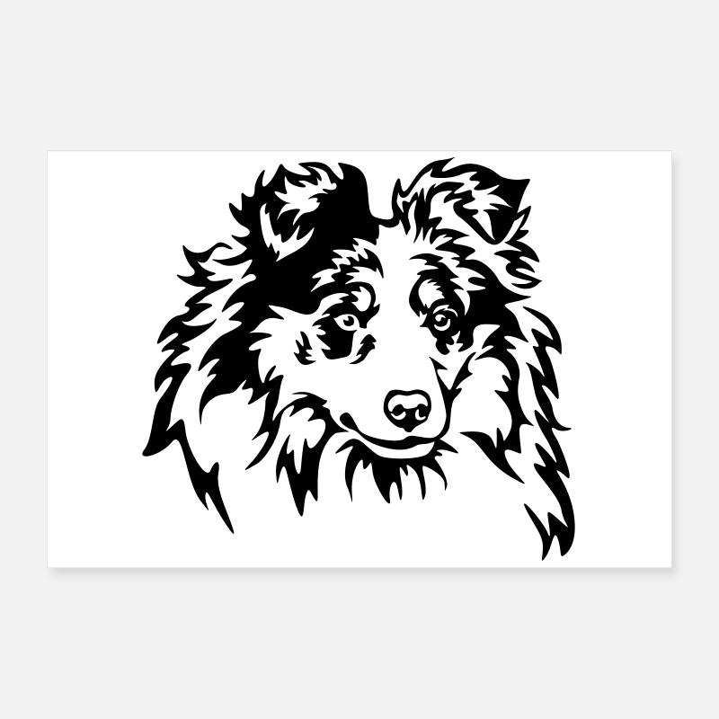 Sheltie Head Poster 60 x 40 cm