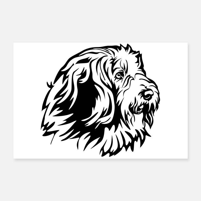 Bearded Collie Head Poster 24" x 16" (60x40 cm)