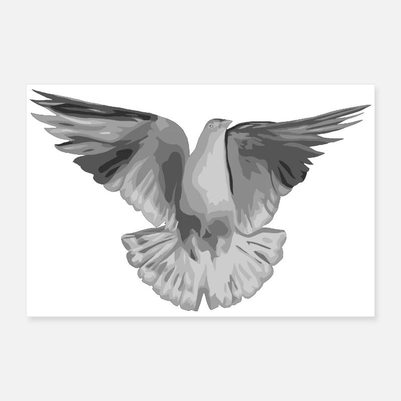 Dove light grey Poster 24" x 16" (60x40 cm)