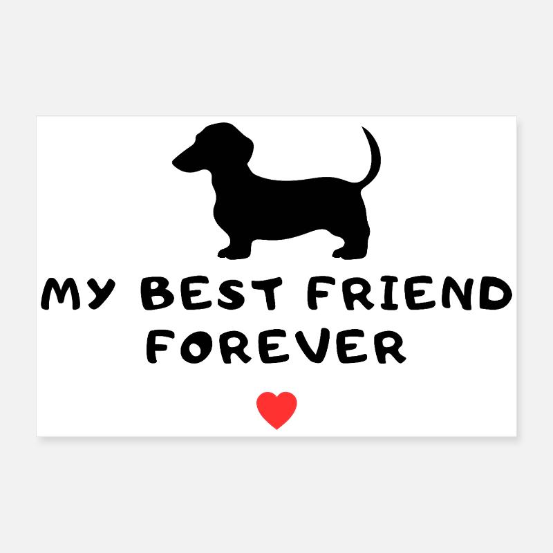 Dackel Dachshund Poster 60x40 cm
